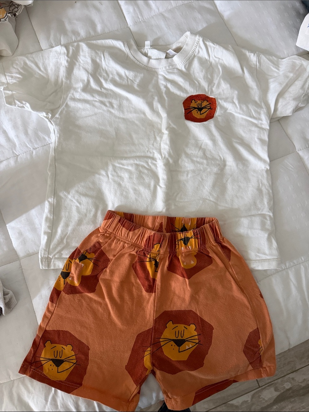 Zara Orange Lion Print Kids Shorts